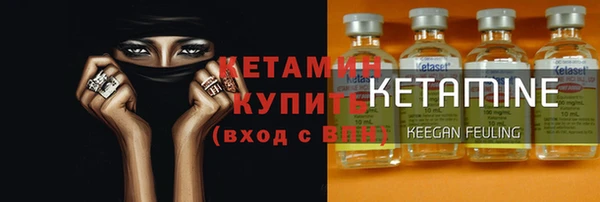 амф Каменка